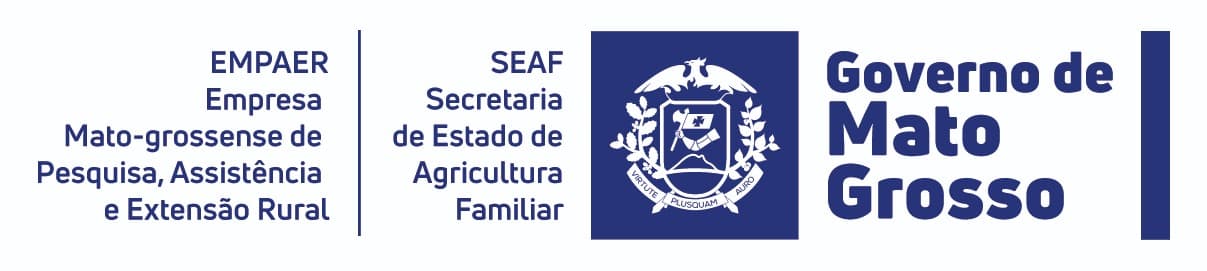 Desenvolve Logo