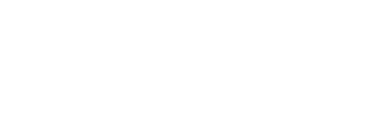 Simulador | Desenvolve MT
